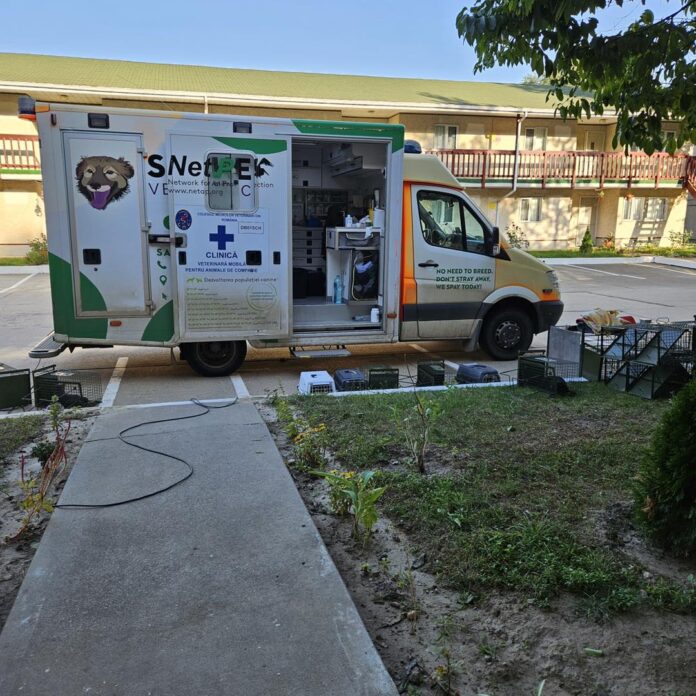 Bucureștiul promovează programe moderne pentru gestionarea pisicilor comunitare