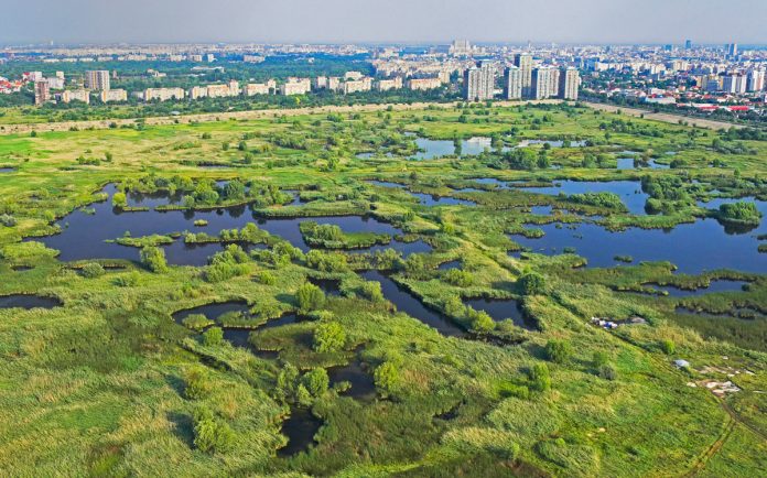 Apa de ploaie va fi folosită pentru refacerea zonelor umede din parcurile bucureștene