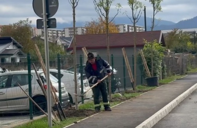 Primăria Brașov plantează 4.000 de arbori în cadrul campaniei de toamnă
