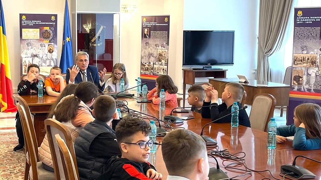 Senatul avansează legea pentru protejarea minorilor în mediul online