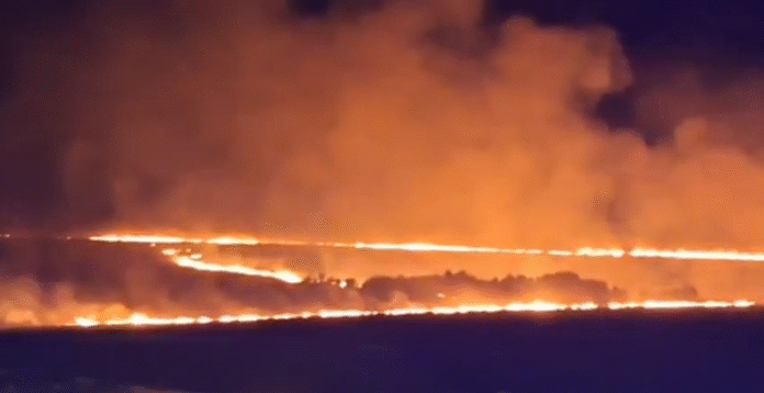 Incendii de vegetație devastatoare în Vulpeni, peste 100 de hectare afectate