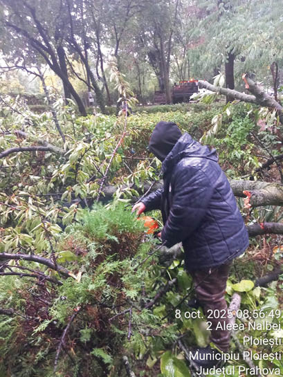 Incident minor pe o șosea din Prahova soldat cu pagube materiale