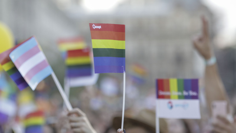 Grupul părinților LGBTIQ+ invită politicienii la dialog după informațiile false despre copiii trans