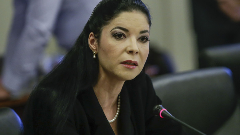 Document fals despre Ana Birchall, eliminat din registrul Departamentului de Justiție din SUA