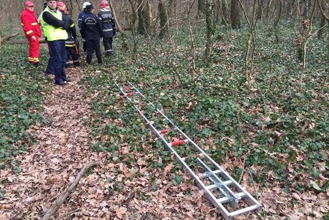 Bărbat găsit mort după ce a dispărut în pădurea din Hisiaș