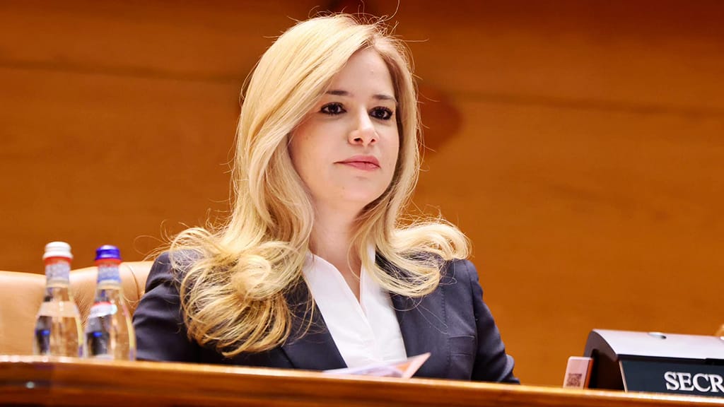 Parlamentul adoptă declarația pentru România fără violență domestică