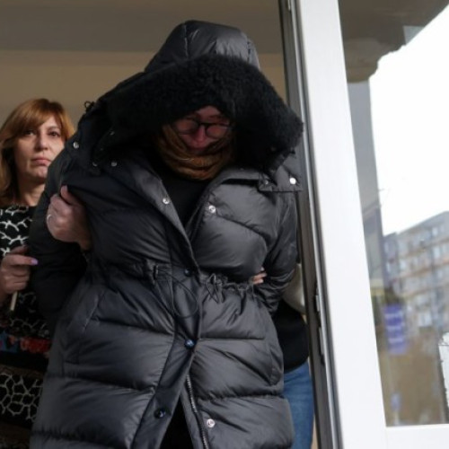 Sora fostului ministru Carmen Dan, reținută într-un dosar de înșelăciune de peste 1,3 milioane euro