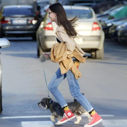 Neacordarea priorității pietonilor, o cauză majoră a accidentelor în București