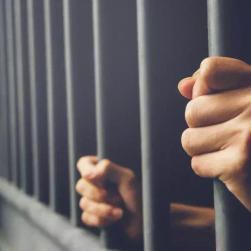 Tânăr din Pomârla condamnat pentru trafic de migranți, încarcerat la Botoșani