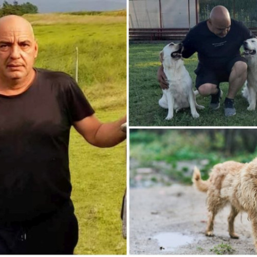 Președintele Benji avertizează asupra riscurilor interzicerii lanțului pentru câini fără susținere reală