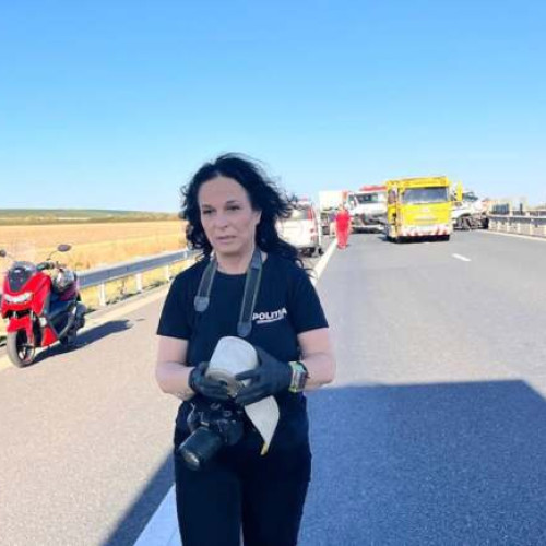 Polițistă din Timiș ajută o femeie în vârstă rănită și dispărută