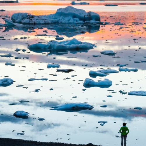 Țânțarii au fost detectați pentru prima dată în Islanda, pe fondul încălzirii globale