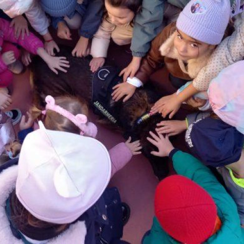 Jandarmii au discutat despre siguranță cu copiii de la Grădinița Șotron din Botoșani