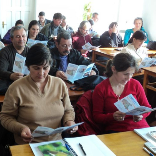 Patru programe gratuite de formare profesională pentru șomeri în Olt, în noiembrie