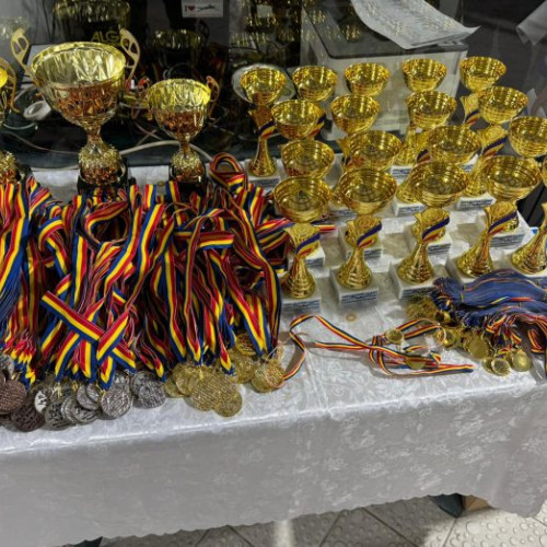 Cupei Slatinei la Înot, ediția a X-a, o reuniune de emoție și performanță