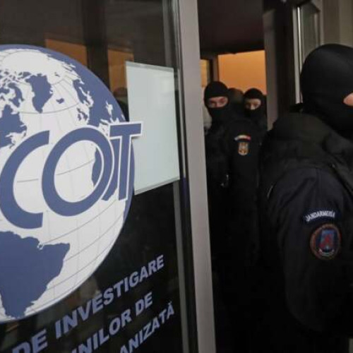 Percheziții în Timiș și Arad pentru destructurarea unei rețele de crimă organizată