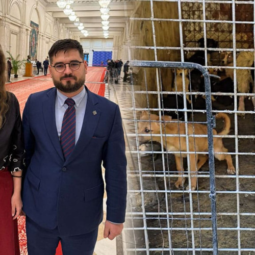 Reacții politice după vizita deputatului Codruța Corcheș la adăpostul de câini din Reșița