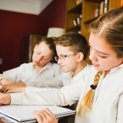 Consiliul Județean Constanța propune majorarea burselor pentru elevii din învățământ special