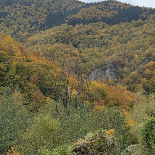 Cod galben de ceață prelungit în mai multe localități din Vrancea