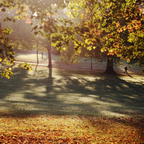 Vremea se răcește în vest, centru și nord, dar în sud rămâne caldă