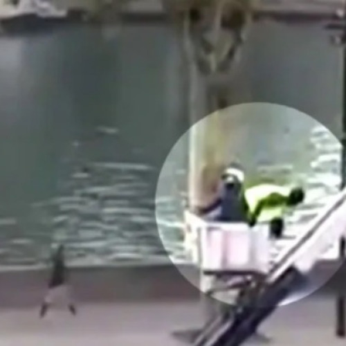 Jaful spectaculos din Muzeul Luvru scoate la iveală dovezi importante