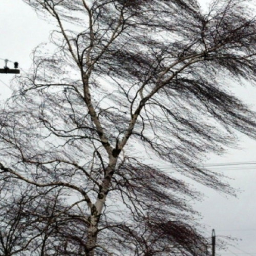 Prelungire a codului galben de ceață în județul Vrancea până la ora 12:00