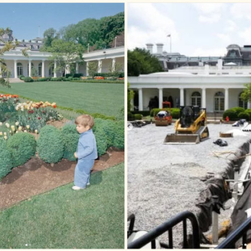 Jack Schlossberg critică dur demolarea grădinii de trandafiri a lui Kennedy de către Donald Trump