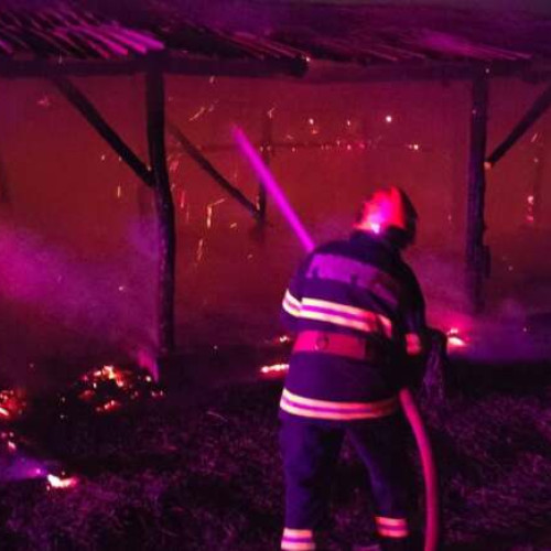 Incendiu la o anexă pentru prelucrarea lemnului în Timișoara, intervenție promptă a pompierilor