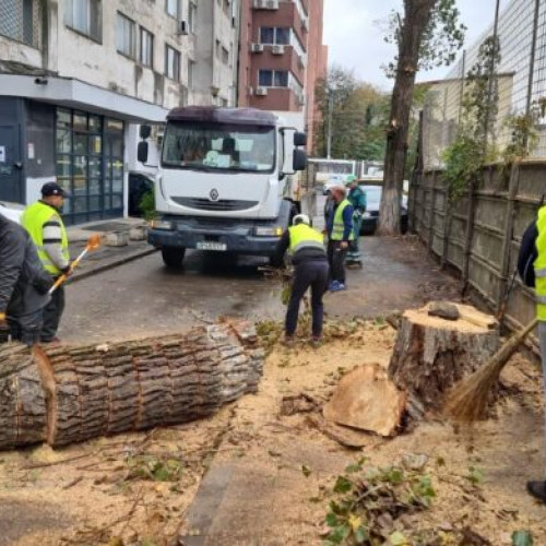 Lucrări de curățenie și întreținere în Sector 2 continuă cu intensitate