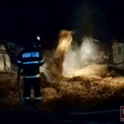 Incendiu puternic în gospodărie din Icușeni Vale: anexa și furajele au ars complet