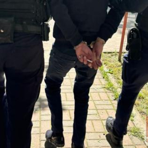 Doi bărbați din Dimăcheni reținuți pentru furt de porumb din județul Suceava