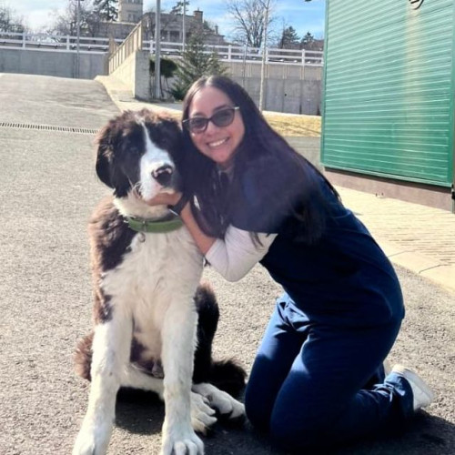 Tânăra din Belize care studiază medicina veterinară la Iași se adaptează vieții românești