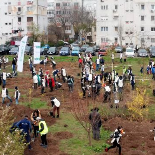 Pădure urbană cu 15.000 de arbori va schimba zona CATTIA din Brașov