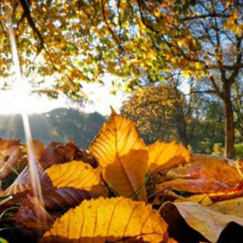 Vremea în următoarele două săptămâni: maxime de până la 20 de grade în regiunea Moldovei