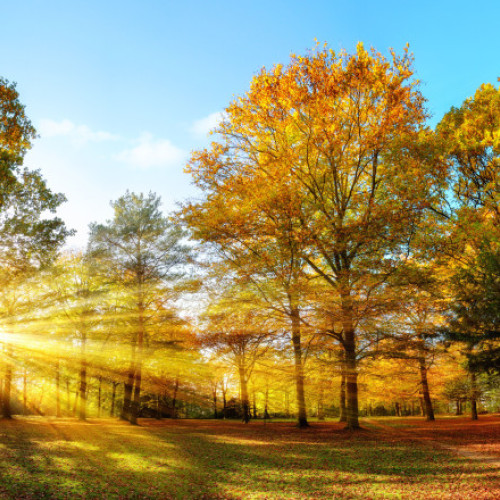 Temperaturi mai ridicate și precipitații deficitare în România în următoarele patru săptămâni