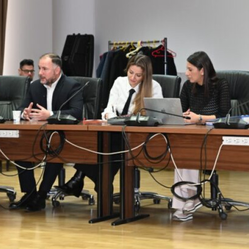 Orașe europene partenere se reunesc la Sectorul 2 pentru proiecte sustenabile