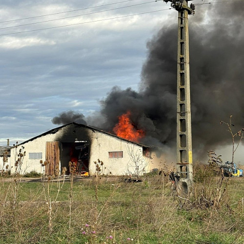 Incendiu de proporții la o hală de depozitare a cerealelor în Ghirișa