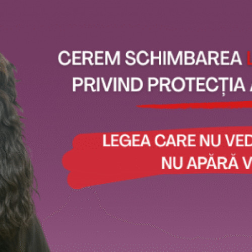 Inițiativă pentru modificarea legii privind protecția animalelor după cazul cățelușei Katya