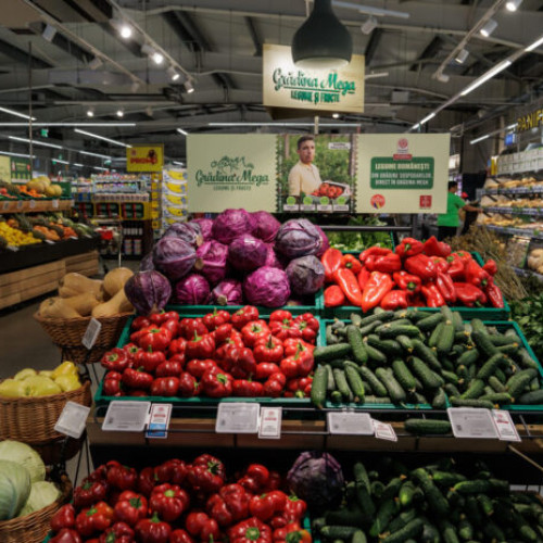 Mega Image anunță rezultate record după 11 ani de colaborare cu fermierii români