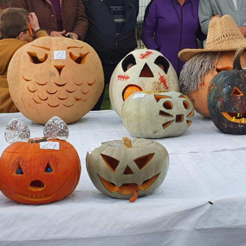 Evenimentul Bostaniada aduce bucurie copiilor în curtea Școlii din Micești