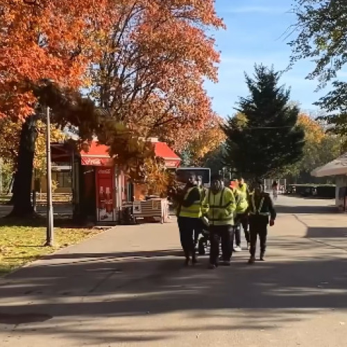 București: 1.000 de arbori vor fi plantați în parcul Regele Mihai I