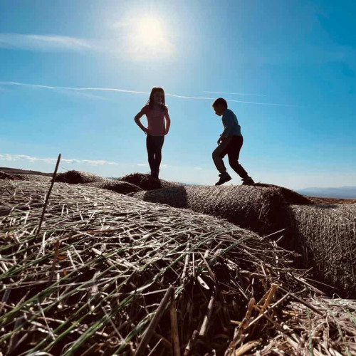 Aproape jumătate dintre părinții români plecați la muncă în străinătate au fost motivați de salariile mici din țară