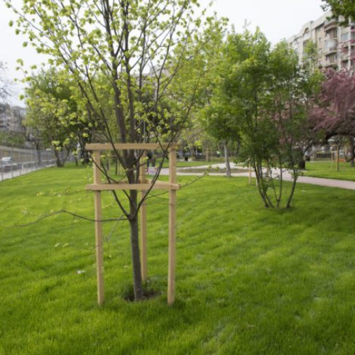 Bucureștiul actualizează normele de protecție a spațiilor verzi după 15 ani