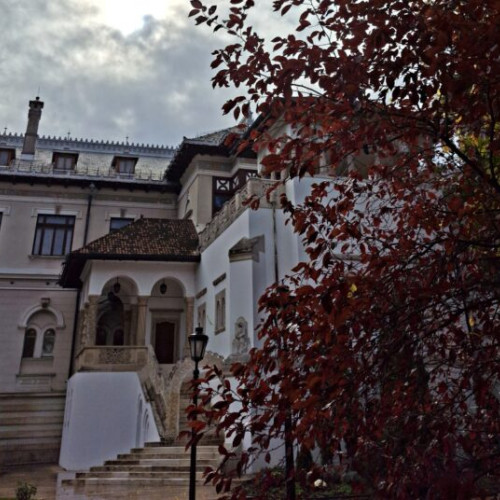 Vizitarea spațiilor exterioare de la Palatul Cotroceni suspendată în sezonul rece