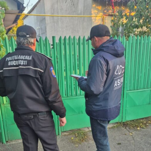 Acțiune a ASPA și Poliției Locale pentru controlul câinilor în Sectorul 1