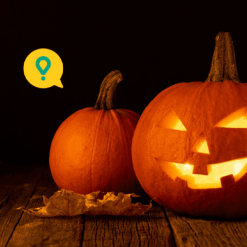 România, lider regional la comenzile tematice de Halloween pe baza de dovleac