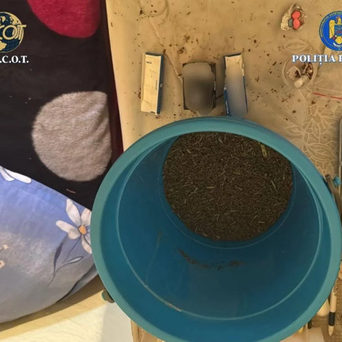 Trei persoane reținute pentru trafic de substanțe psihoactive în Craiova