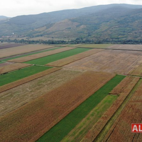 APIA începe plata avansului pentru fermierii cu teren mai mare de 10 hectare