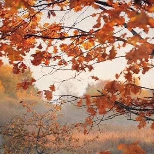 Prognoza meteo actualizată pentru noiembrie anunță revenirea vremii normale