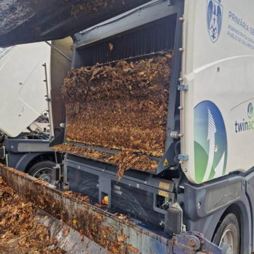 Primăria Sectorului 6 colectează zilnic 7 tone de frunze de pe străzi